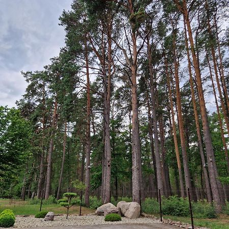 Apartamentai Renata Druskininkai Luaran gambar