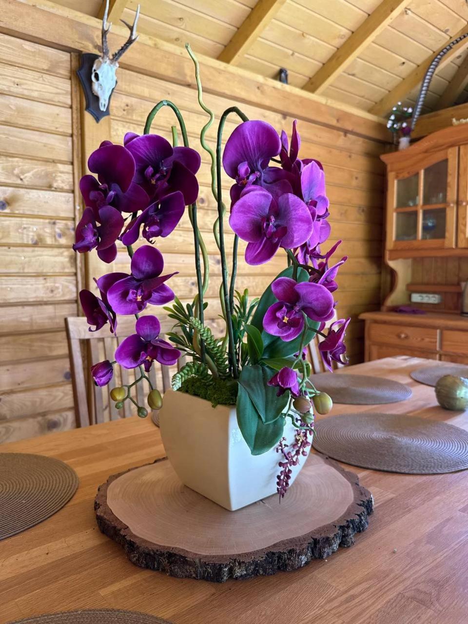 Apartamentai Renata Druskininkai Luaran gambar