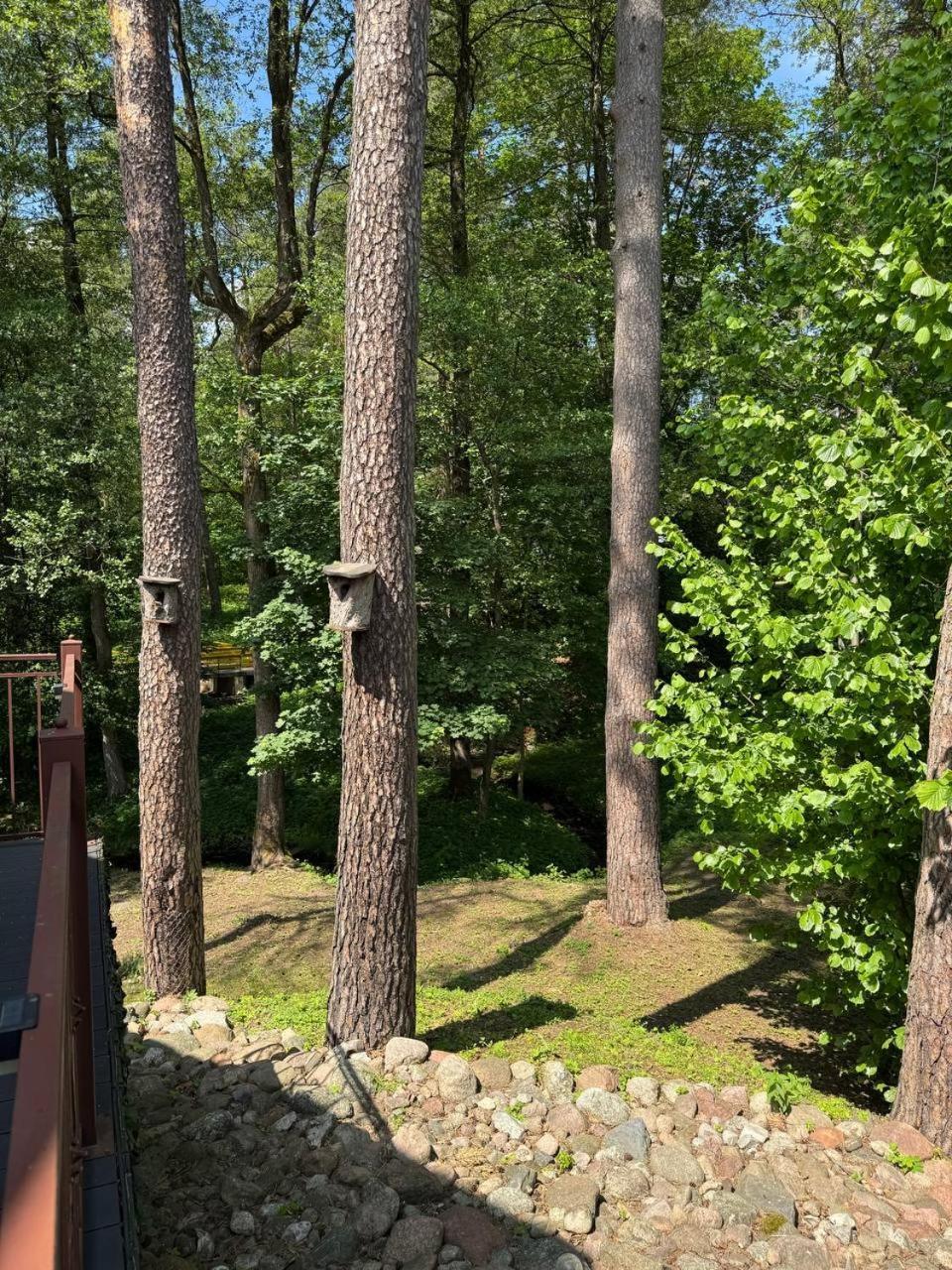 Apartamentai Renata Druskininkai Luaran gambar